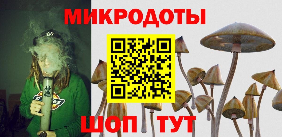 Галлюциногенные грибы мухоморы  Вход с VPN  Ревда  Псилоцибиновые грибы мицелий 